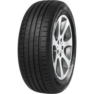 PNEU MINERVA ARO 15 205/65R15 94H F209