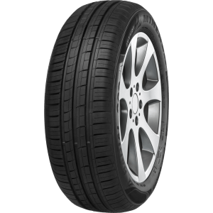 PNEU MINERVA ARO 16 205/60R16 92H F209